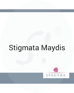 Stigmata Maydis Spagyra  Urtinktur