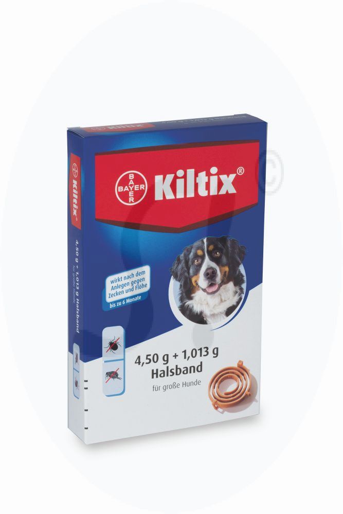 kamera halsband katze LucyBalu Katzenhalsband fr den AirTag