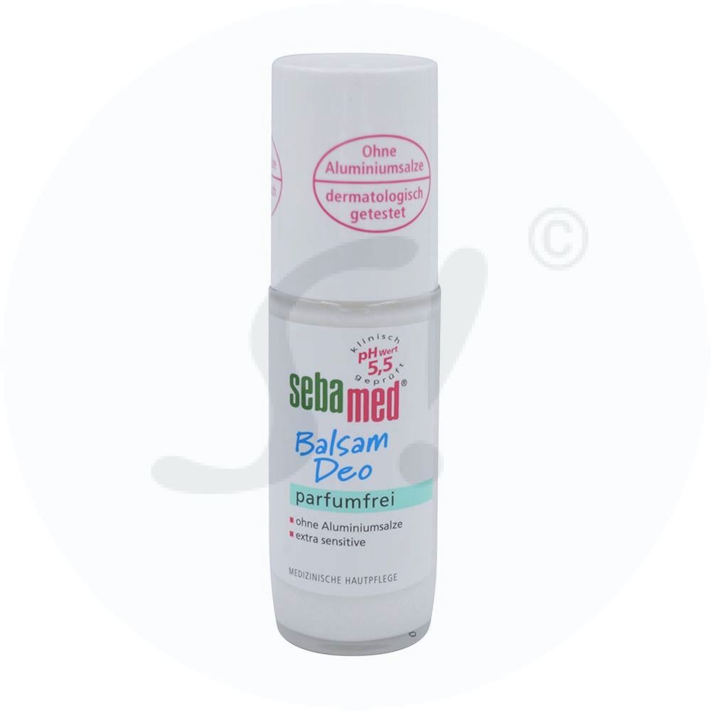 alocasia zebrina neues blatt Alocasia Zebrina Pfeilblatt XL  vielgrn