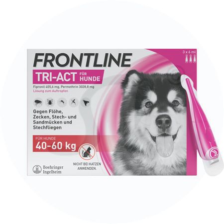 Seresto Halsband fr kleine Hunde < 8 kg 1 Stk.