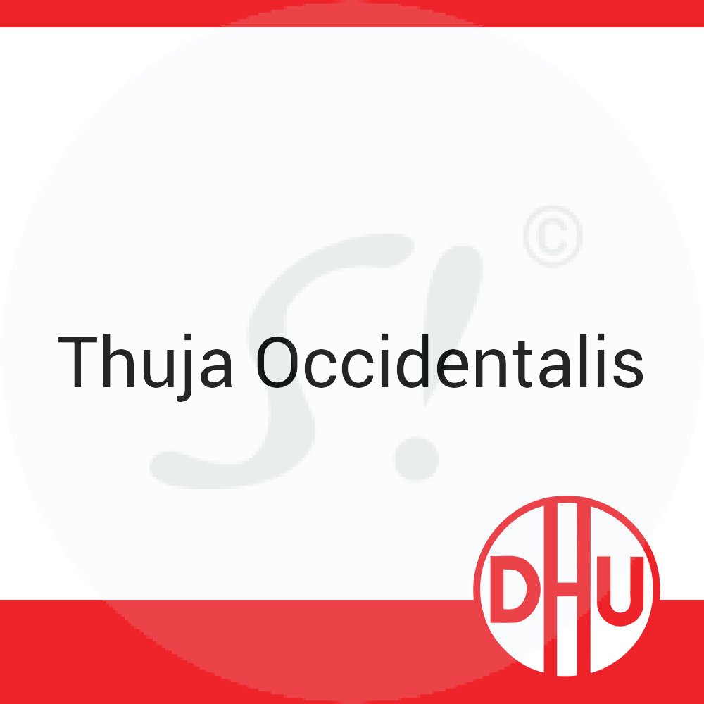 Thuja Occidentalis DHU 8 g D 12 Globuli