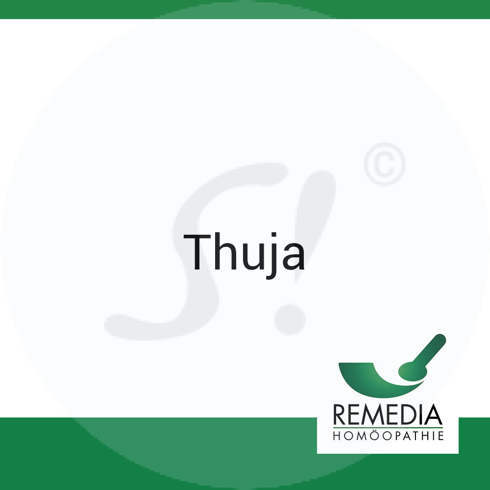 Thuja Occidentalis Spagyra 10 ml Urtinktur