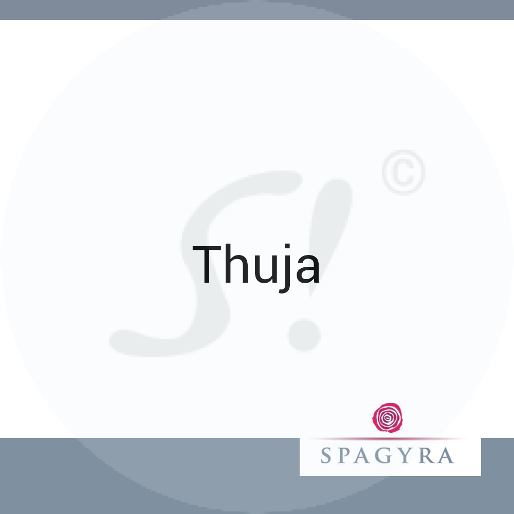 Apis Spagyra 10 ml D 12 Globuli