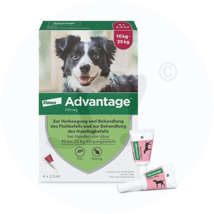Advantage fr Hunde